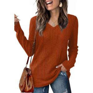 imageSaloogoe Womens Long Sleeve Tops V Neck Shirts Lightweight Tunic Sweaters Fashion 2024All Caramel